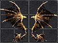 Wings of Storm